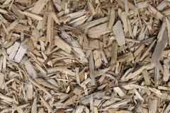 biomass boilers Pengersick